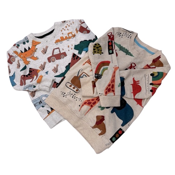 Other - Toddler Boys Long Sleeve Dino & Animal Sweatshirt Bundle 5T